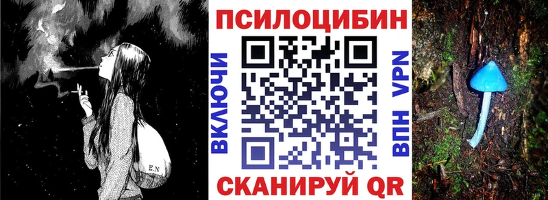 Псилоцибиновые грибы GOLDEN TEACHER  Купить закладки  Алапаевск 